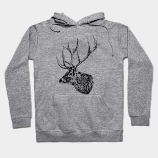 Deer portrait Hoodie